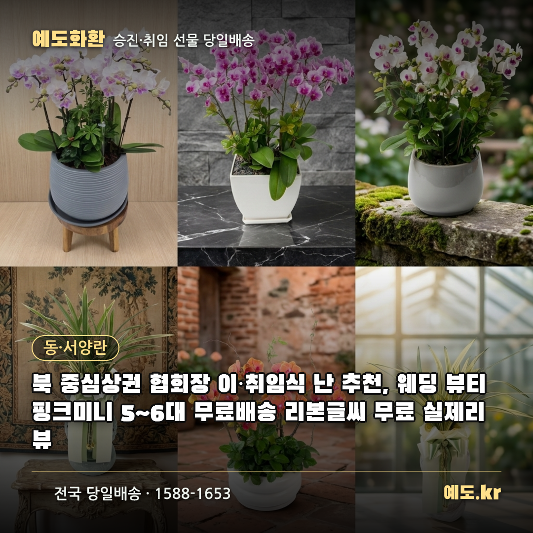 북 중심상권 협회장 이·취임식 난 추천, 웨딩 뷰티 핑크미니 5~6대 무료배송 리본글씨 무료 실제리뷰 - 예도화환