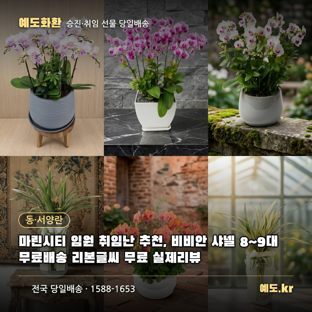 마린시티 임원 취임난 추천, 비비안 샤넬 8~9대 무료배송 리본글씨 무료 실제리뷰 - 예도화환