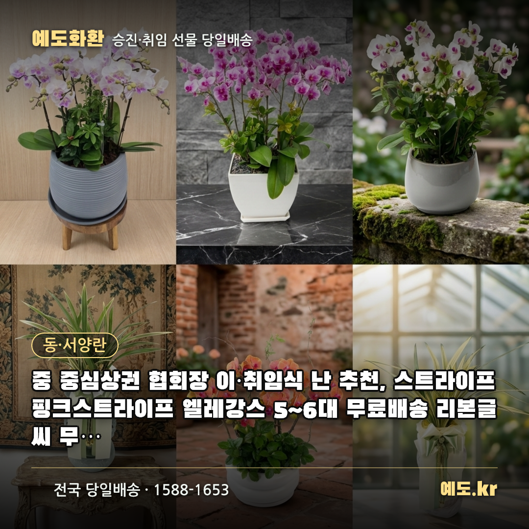 중 중심상권 협회장 이·취임식 난 추천, 스트라이프 핑크스트라이프 엘레강스 5~6대 무료배송 리본글씨 무료 실제리뷰 - 예도화환
