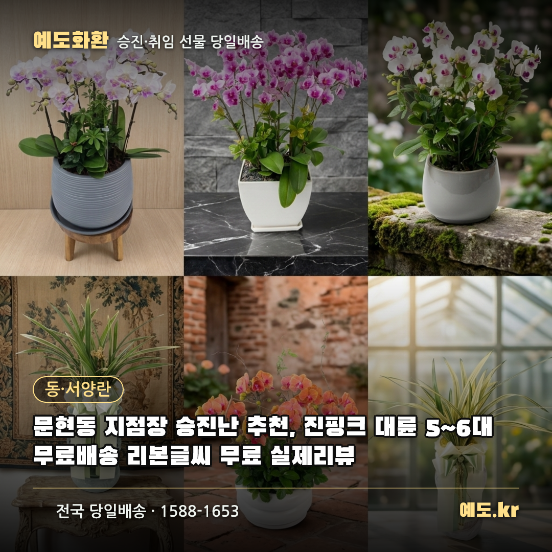 문현동 지점장 승진난 추천, 진핑크 대륜 5~6대 무료배송 리본글씨 무료 실제리뷰 - 예도화환