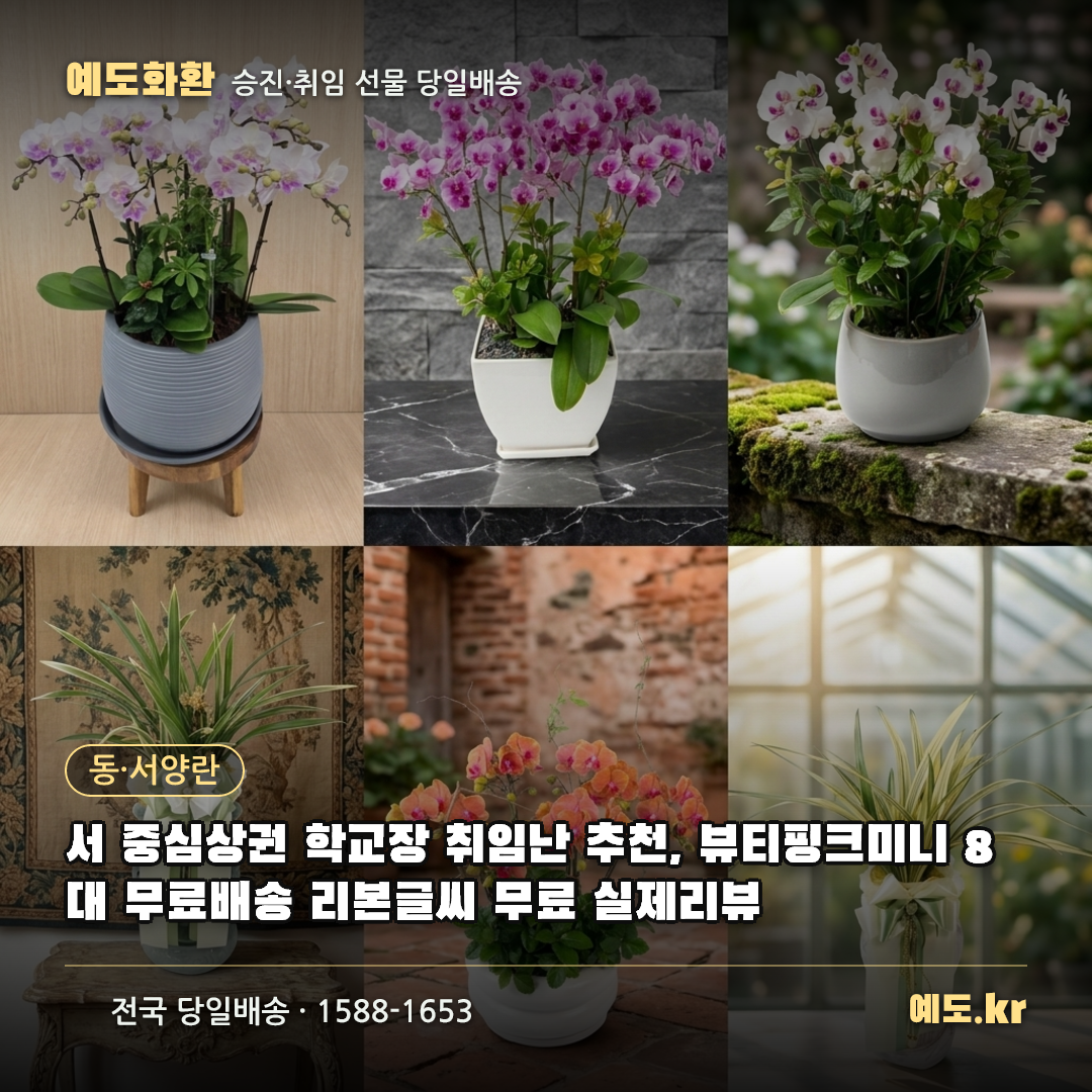 서 중심상권 학교장 취임난 추천, 뷰티핑크미니 8대 무료배송 리본글씨 무료 실제리뷰 - 예도화환