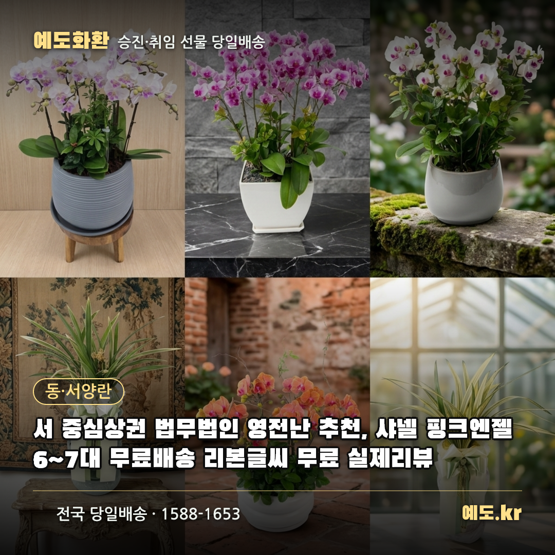서 중심상권 법무법인 영전난 추천, 샤넬 핑크엔젤 6~7대 무료배송 리본글씨 무료 실제리뷰 - 예도화환