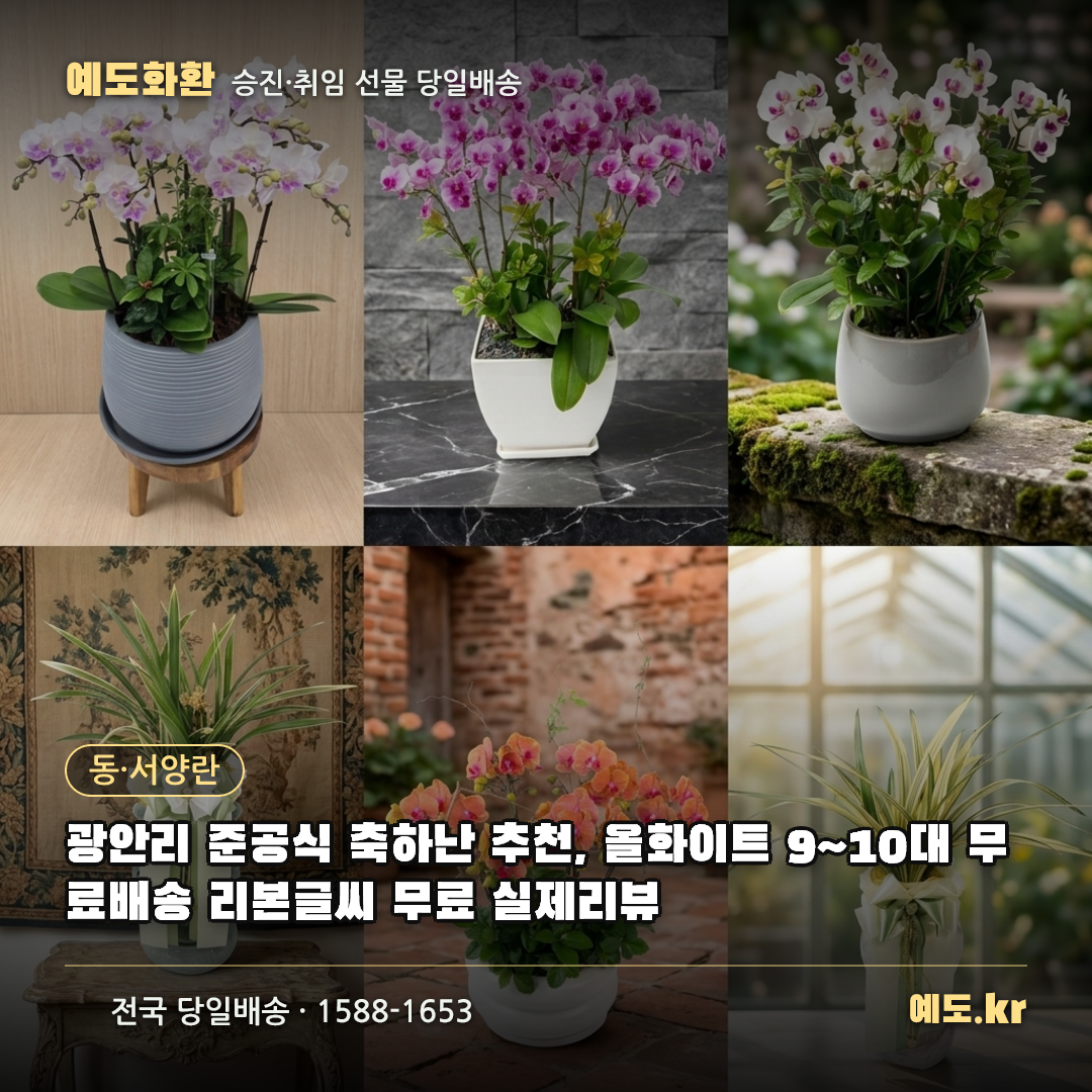 광안리 준공식 축하난 추천, 올화이트 9~10대 무료배송 리본글씨 무료 실제리뷰 - 예도화환