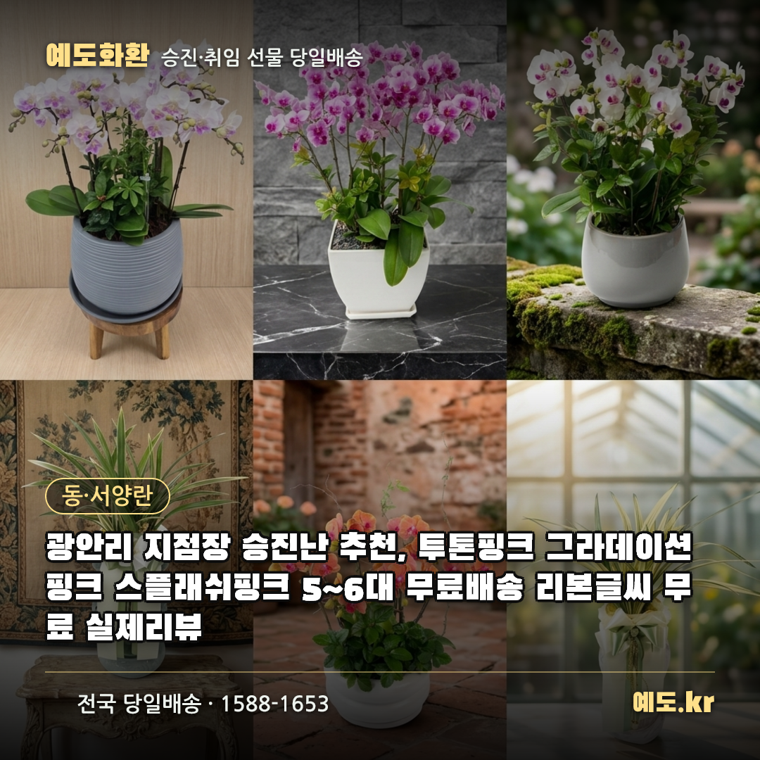광안리 지점장 승진난 추천, 투톤핑크 그라데이션핑크 스플래쉬핑크 5~6대 무료배송 리본글씨 무료 실제리뷰 - 예도화환