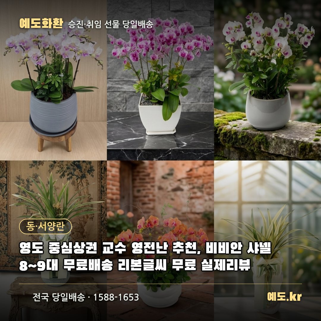 영도 중심상권 교수 영전난 추천, 비비안 샤넬 8~9대 무료배송 리본글씨 무료 실제리뷰 - 예도화환