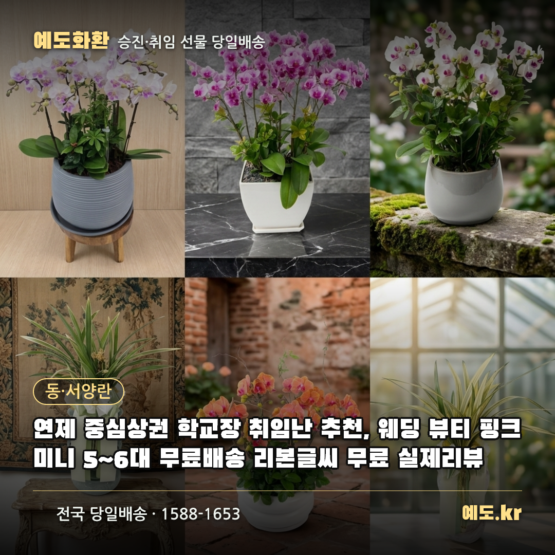 연제 중심상권 학교장 취임난 추천, 웨딩 뷰티 핑크미니 5~6대 무료배송 리본글씨 무료 실제리뷰 - 예도화환