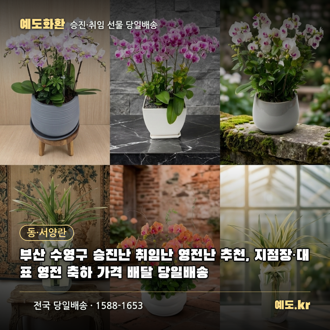 부산 수영구 승진난 취임난 영전난 추천, 지점장·대표 영전 축하 가격 배달 당일배송 - 예도화환