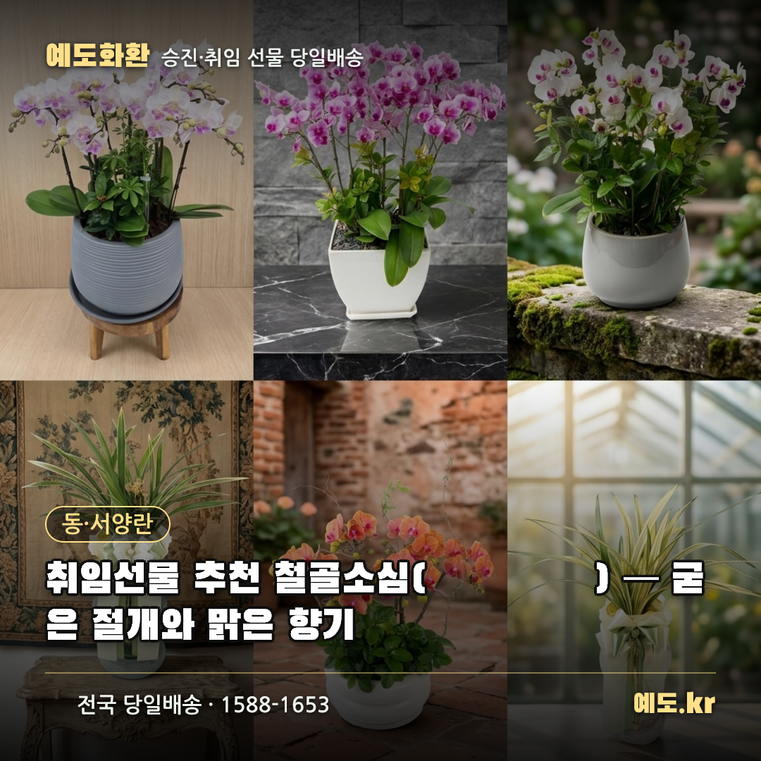 취임선물 추천 철골소심(鐵骨素心) — 굳은 절개와 맑은 향기 - 예도화환