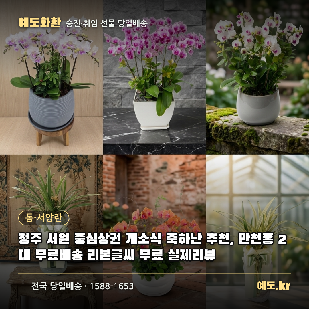 청주 서원 중심상권 개소식 축하난 추천, 만천홍 2대 무료배송 리본글씨 무료 실제리뷰 - 예도화환