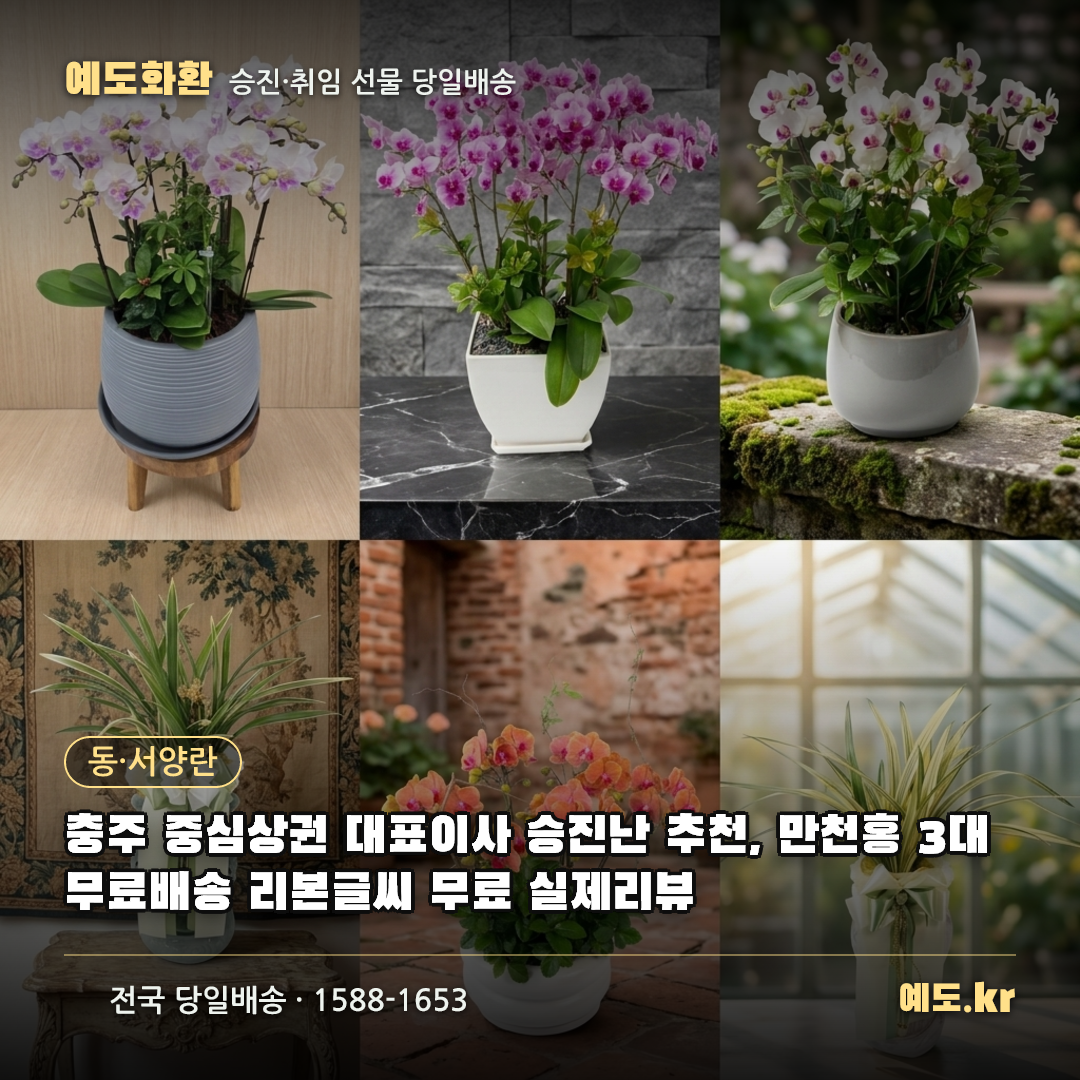 충주 중심상권 대표이사 승진난 추천, 만천홍 3대 무료배송 리본글씨 무료 실제리뷰 - 예도화환