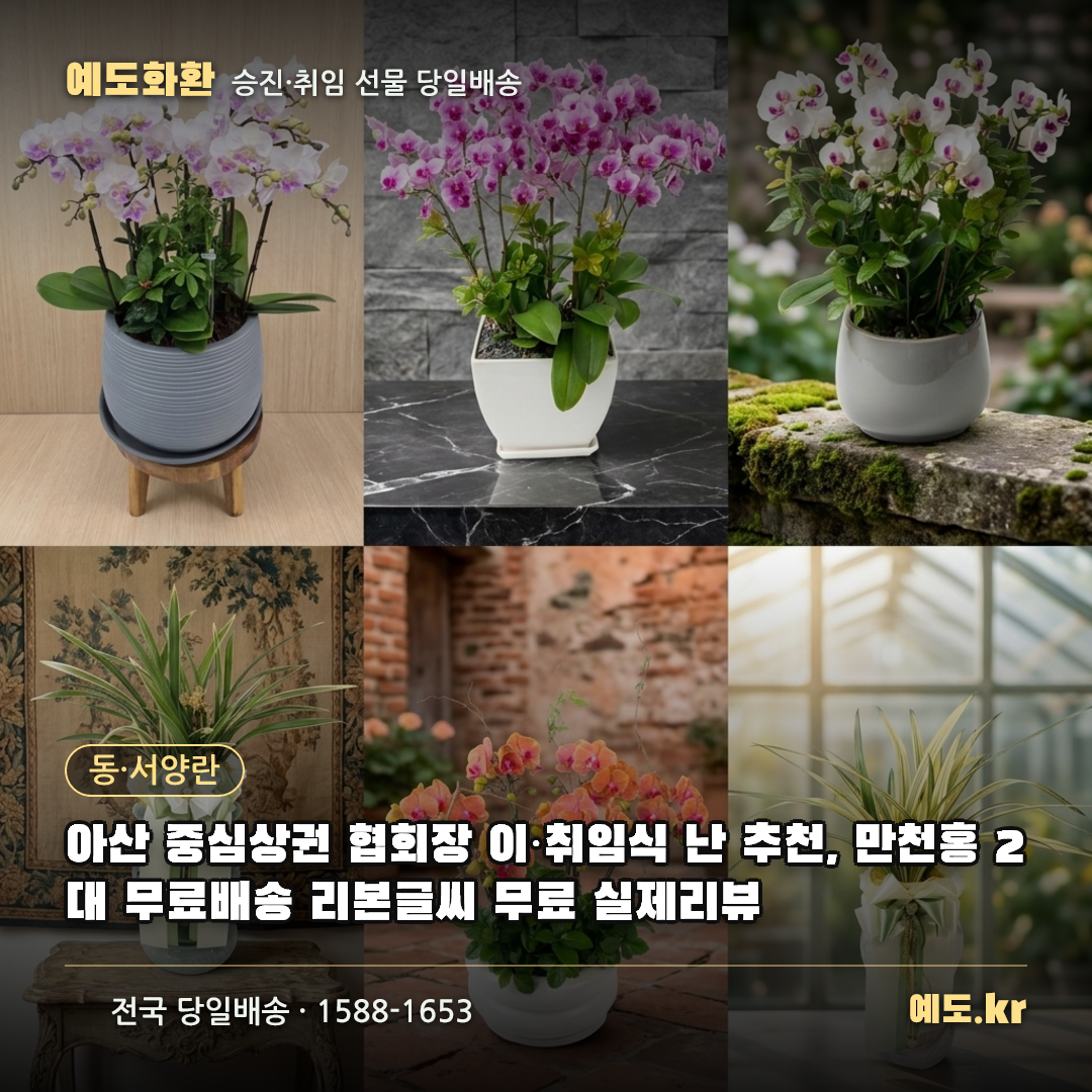 아산 중심상권 협회장 이·취임식 난 추천, 만천홍 2대 무료배송 리본글씨 무료 실제리뷰 - 예도화환