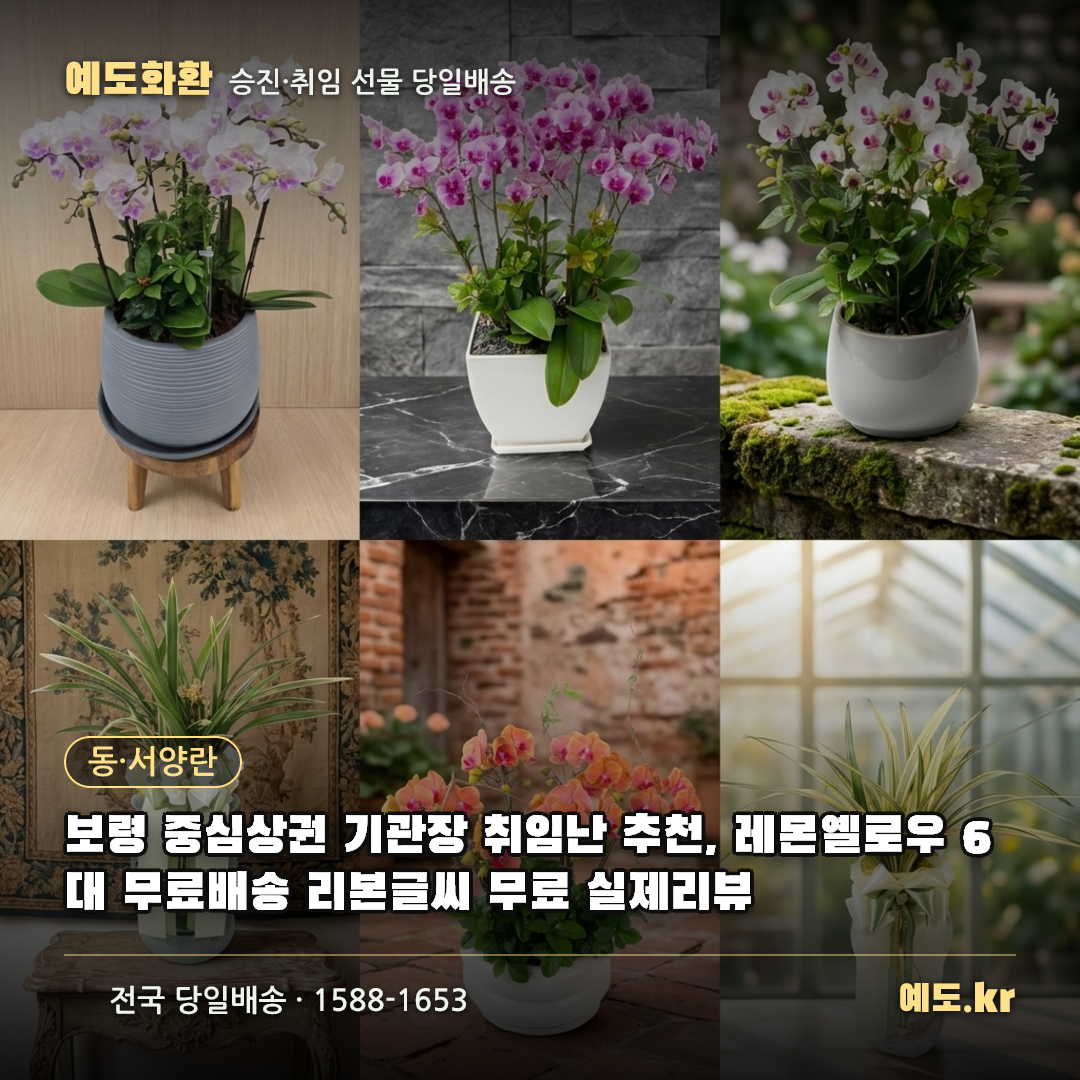 보령 중심상권 기관장 취임난 추천, 레몬옐로우 6대 무료배송 리본글씨 무료 실제리뷰 - 예도화환