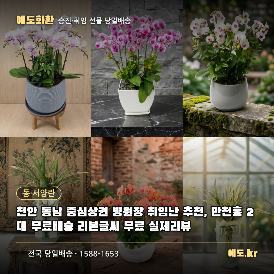 천안 동남 중심상권 병원장 취임난 추천, 만천홍 2대 무료배송 리본글씨 무료 실제리뷰 - 예도화환