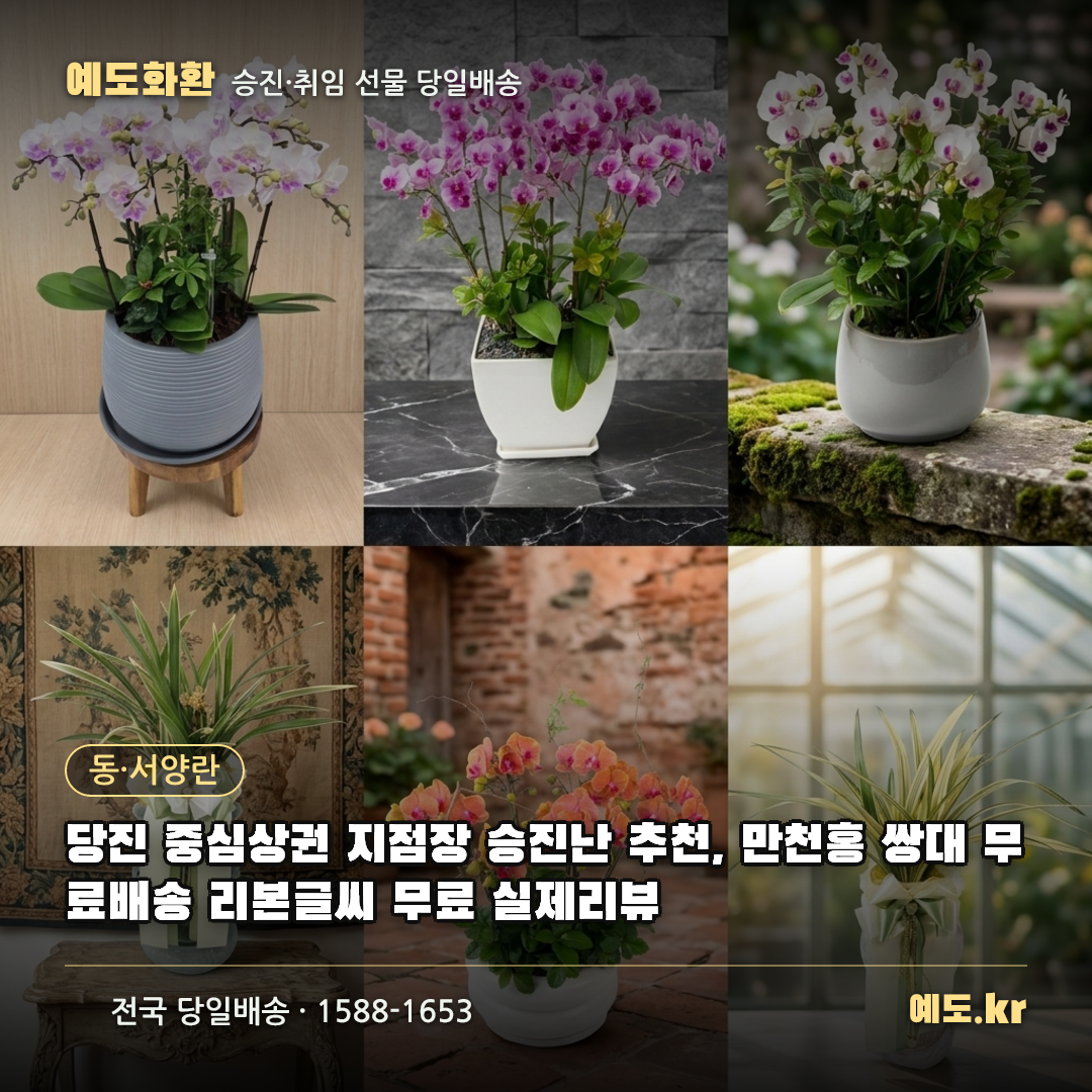 당진 중심상권 지점장 승진난 추천, 만천홍 쌍대 무료배송 리본글씨 무료 실제리뷰 - 예도화환