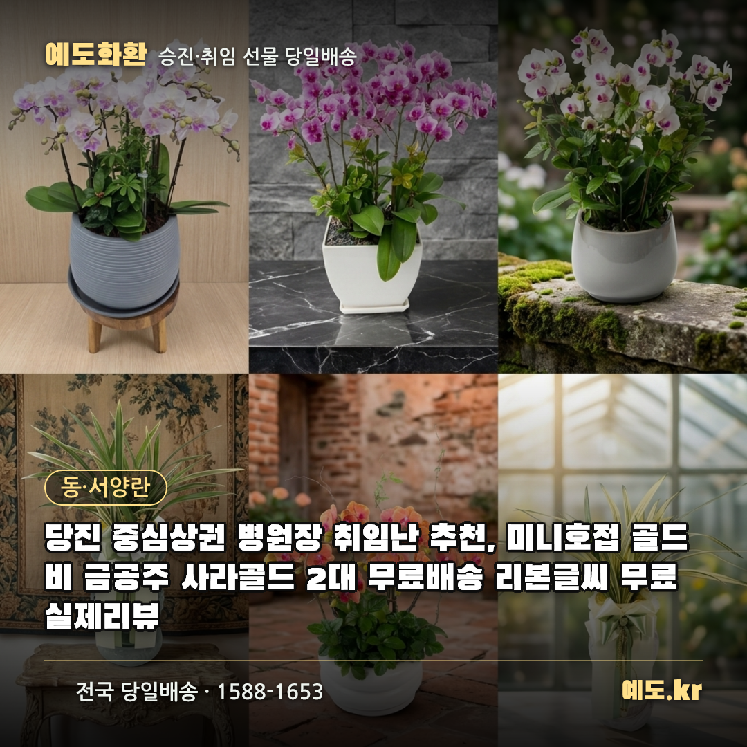 당진 중심상권 병원장 취임난 추천, 미니호접 골드비 금공주 사라골드 2대 무료배송 리본글씨 무료 실제리뷰 - 예도화환