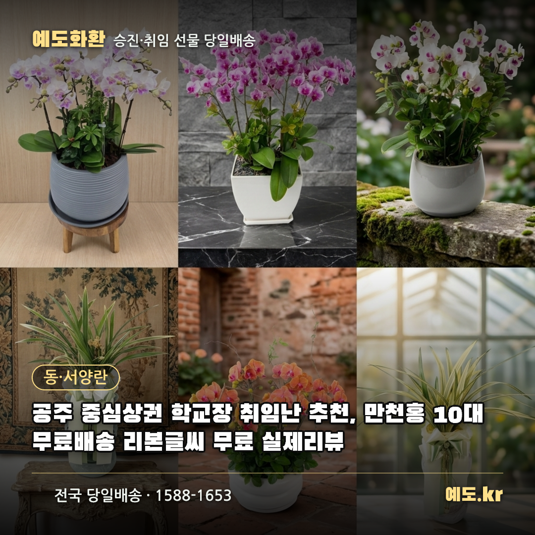 공주 중심상권 학교장 취임난 추천, 만천홍 10대 무료배송 리본글씨 무료 실제리뷰 - 예도화환