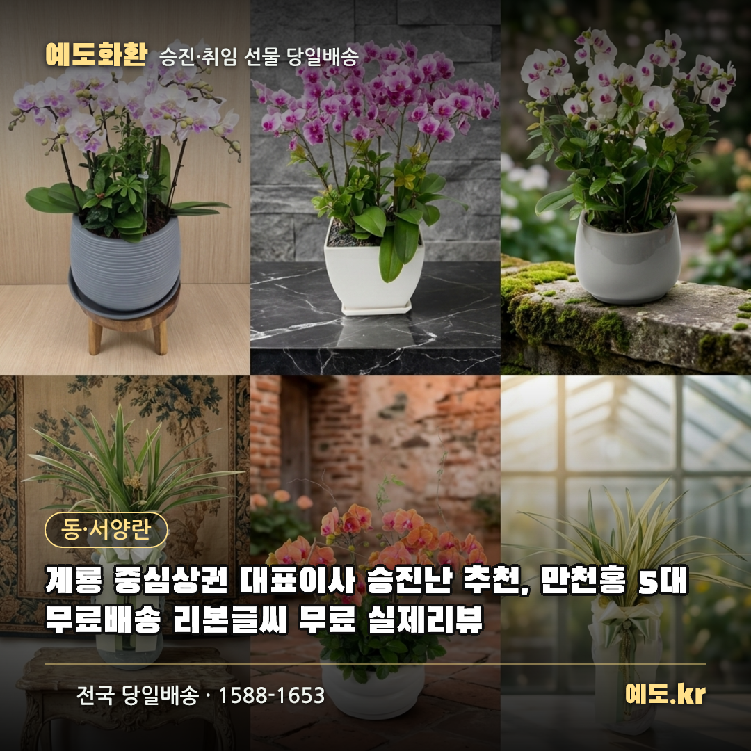 계룡 중심상권 대표이사 승진난 추천, 만천홍 5대 무료배송 리본글씨 무료 실제리뷰 - 예도화환