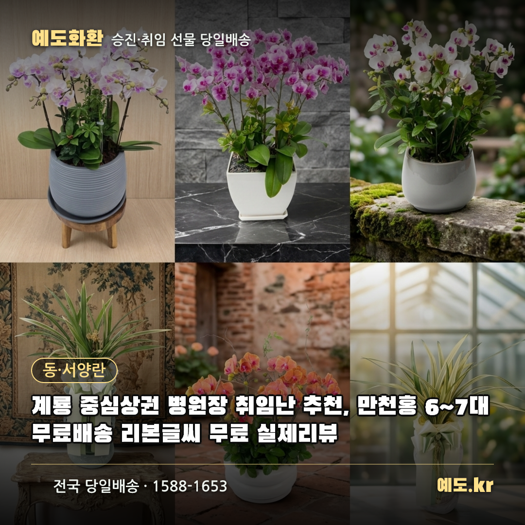 계룡 중심상권 병원장 취임난 추천, 만천홍 6~7대 무료배송 리본글씨 무료 실제리뷰 - 예도화환