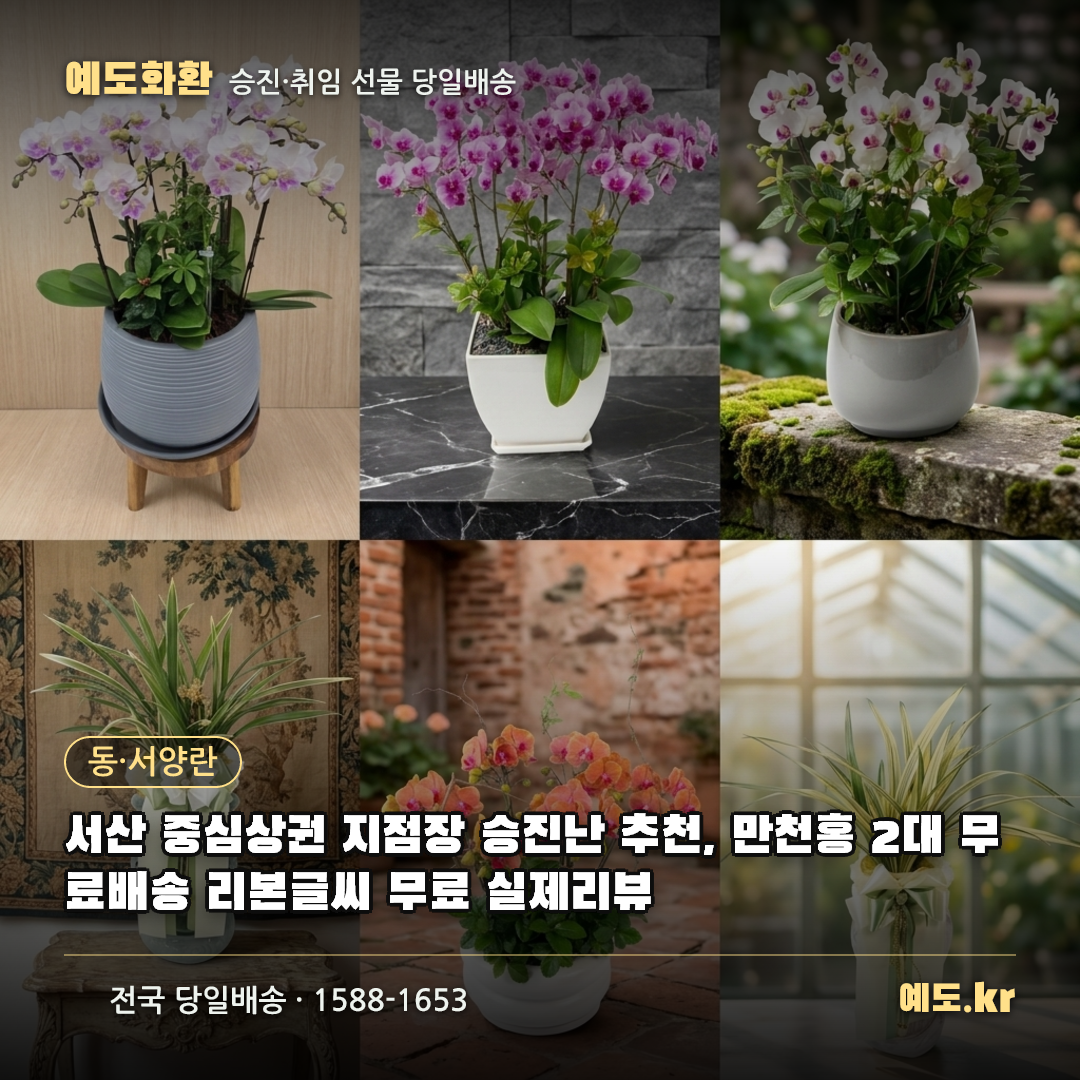 서산 중심상권 지점장 승진난 추천, 만천홍 2대 무료배송 리본글씨 무료 실제리뷰 - 예도화환