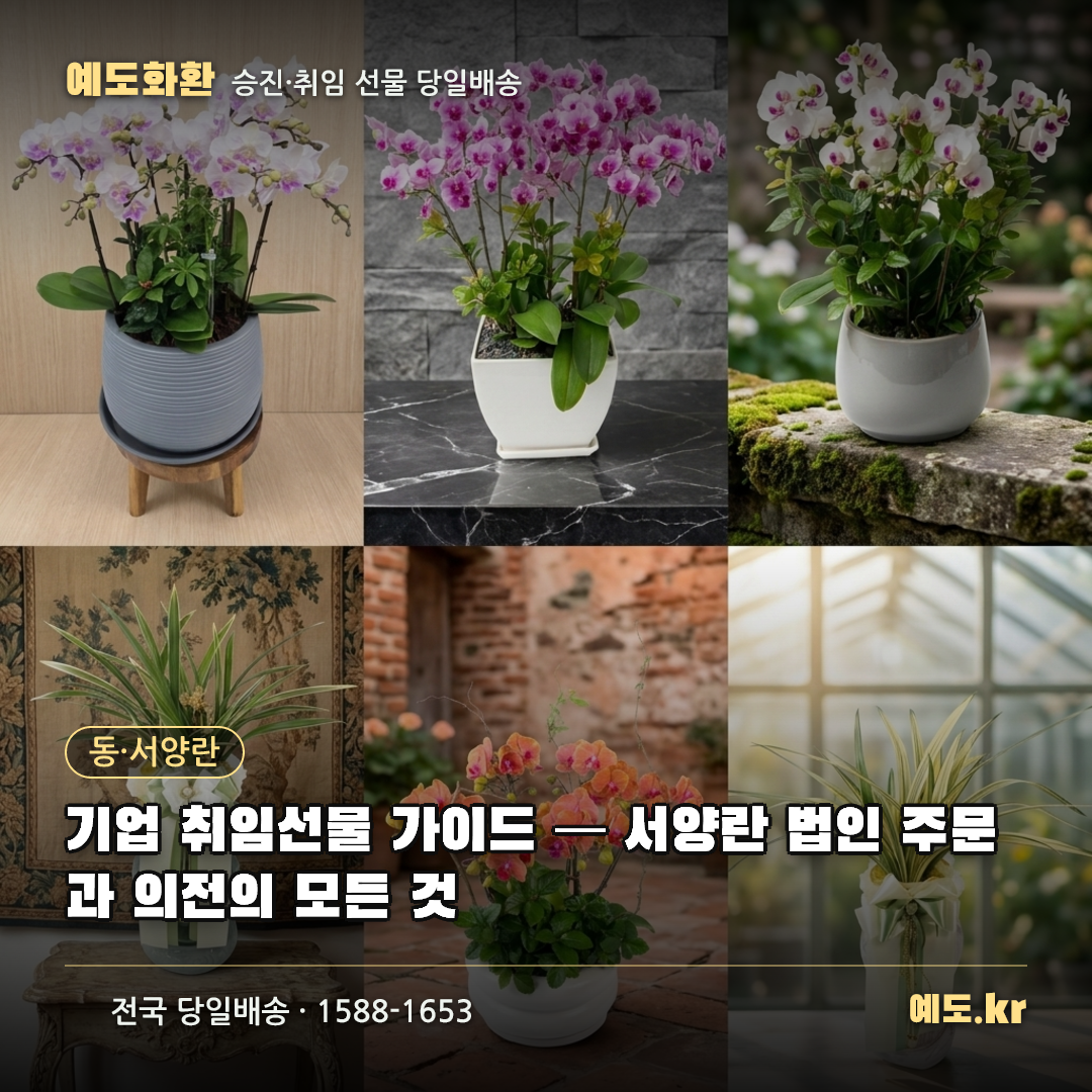 기업 취임선물 가이드 — 서양란 법인 주문과 의전의 모든 것 - 예도화환