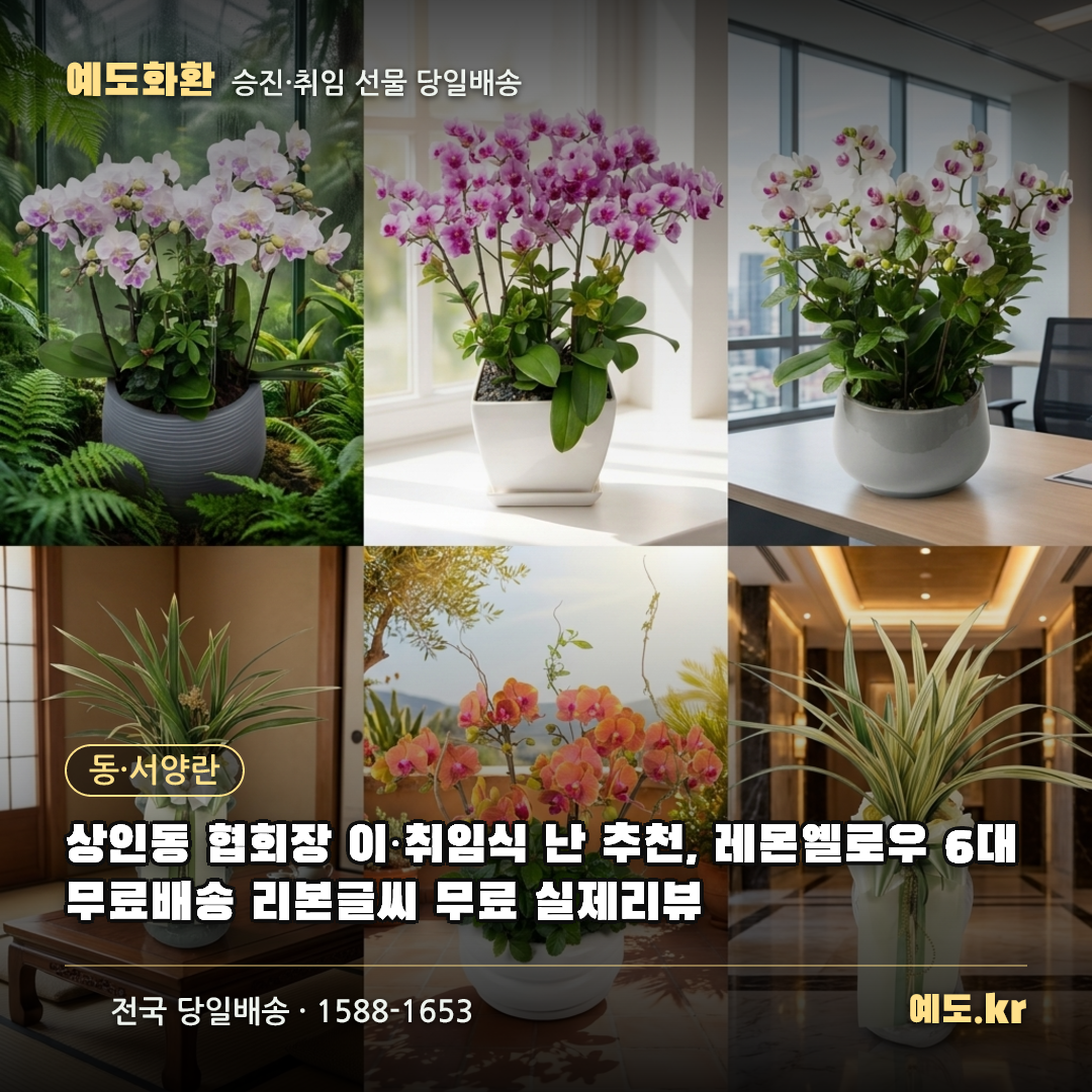 상인동 협회장 이·취임식 난 추천, 레몬옐로우 6대 무료배송 리본글씨 무료 실제리뷰 - 예도화환