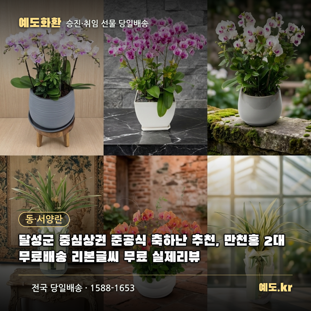 달성군 중심상권 준공식 축하난 추천, 만천홍 2대 무료배송 리본글씨 무료 실제리뷰 - 예도화환