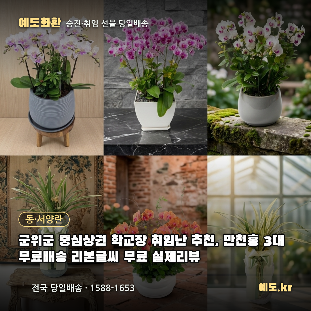 군위군 중심상권 학교장 취임난 추천, 만천홍 3대 무료배송 리본글씨 무료 실제리뷰 - 예도화환