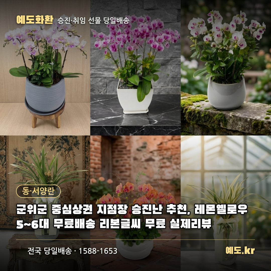 군위군 중심상권 지점장 승진난 추천, 레몬옐로우 5~6대 무료배송 리본글씨 무료 실제리뷰 - 예도화환