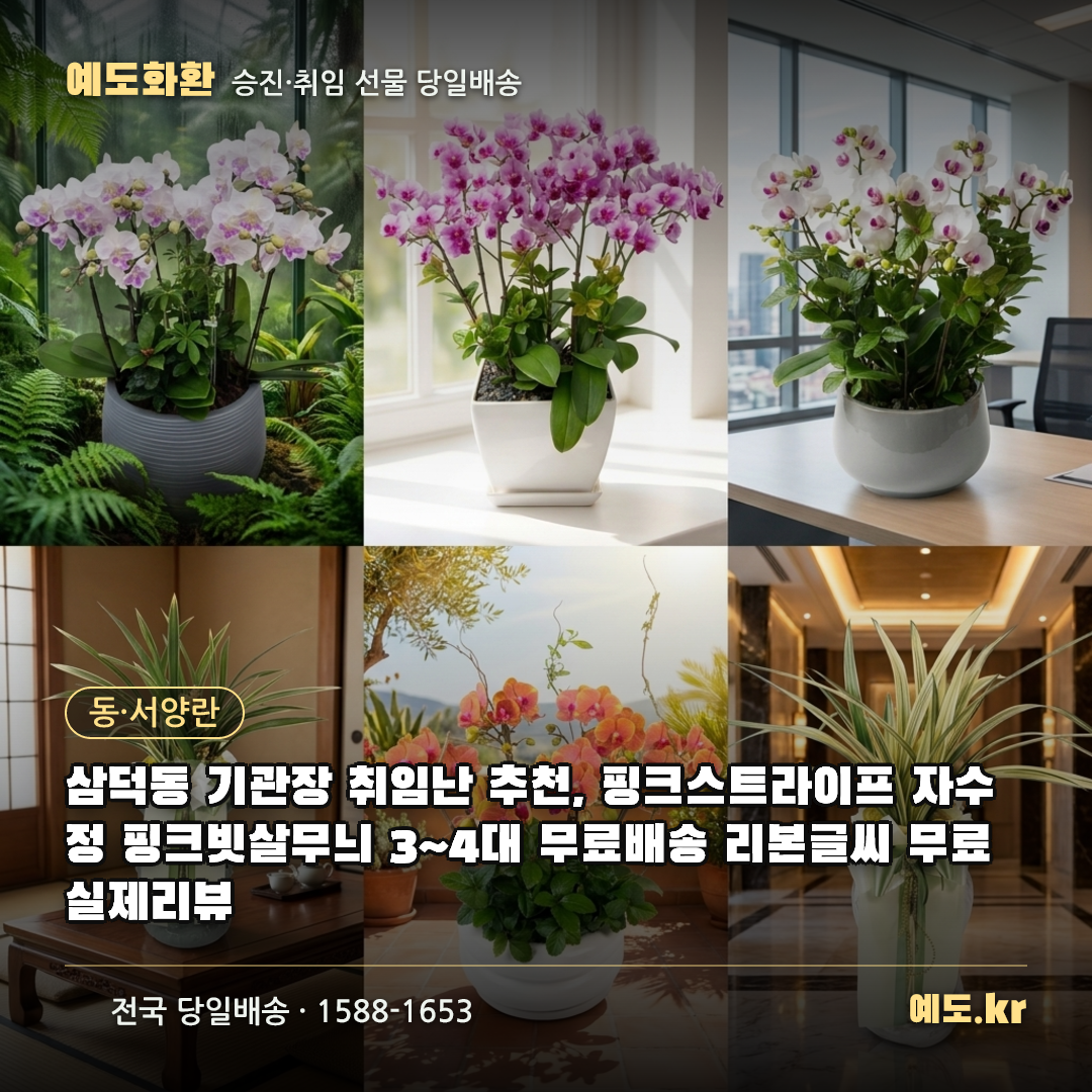 삼덕동 기관장 취임난 추천, 핑크스트라이프 자수정 핑크빗살무늬 3~4대 무료배송 리본글씨 무료 실제리뷰 - 예도화환