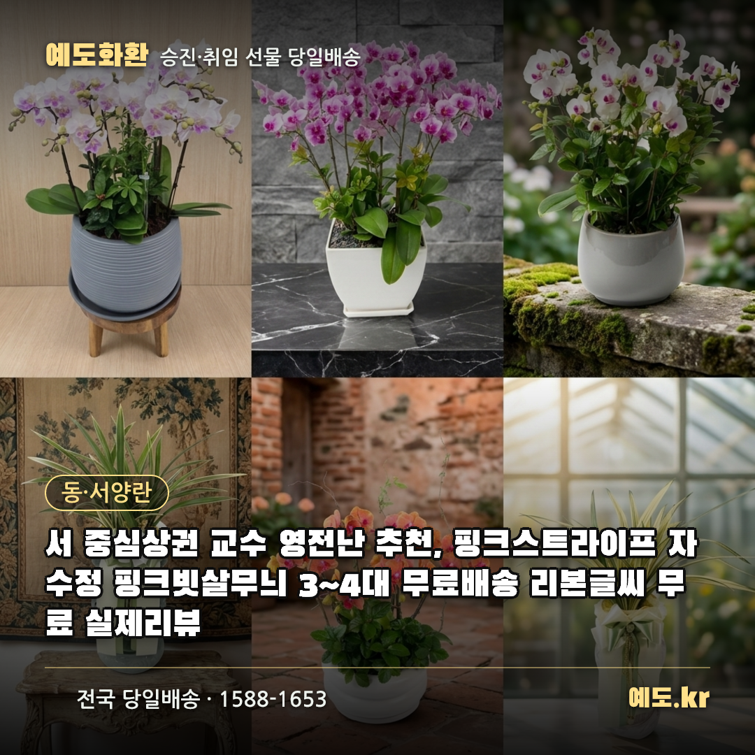 서 중심상권 교수 영전난 추천, 핑크스트라이프 자수정 핑크빗살무늬 3~4대 무료배송 리본글씨 무료 실제리뷰 - 예도화환