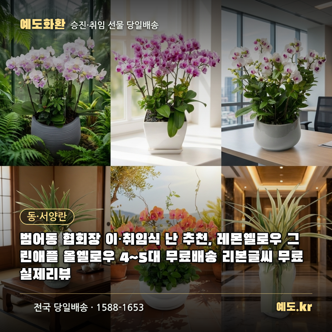 범어동 협회장 이·취임식 난 추천, 레몬옐로우 그린애플 올옐로우 4~5대 무료배송 리본글씨 무료 실제리뷰 - 예도화환