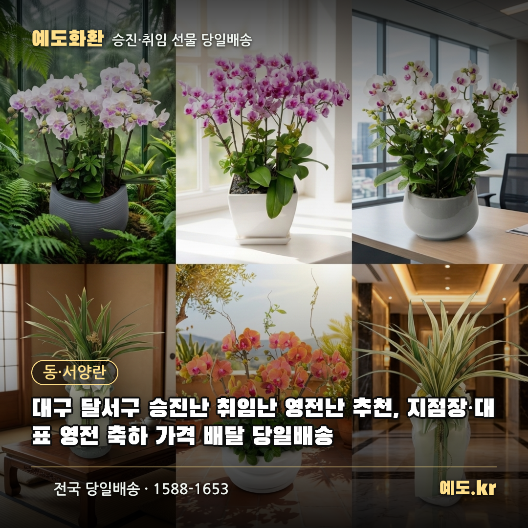 대구 달서구 승진난 취임난 영전난 추천, 지점장·대표 영전 축하 가격 배달 당일배송 - 예도화환
