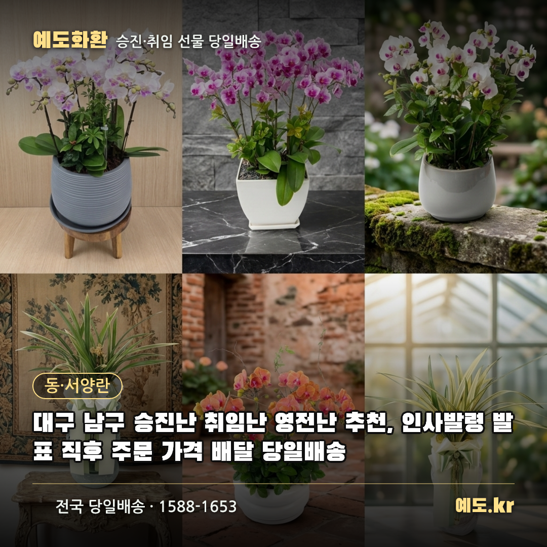 대구 남구 승진난 취임난 영전난 추천, 인사발령 발표 직후 주문 가격 배달 당일배송 - 예도화환