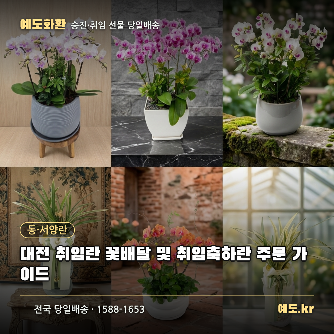 대전 취임란 꽃배달 및 취임축하란 주문 가이드 - 예도화환