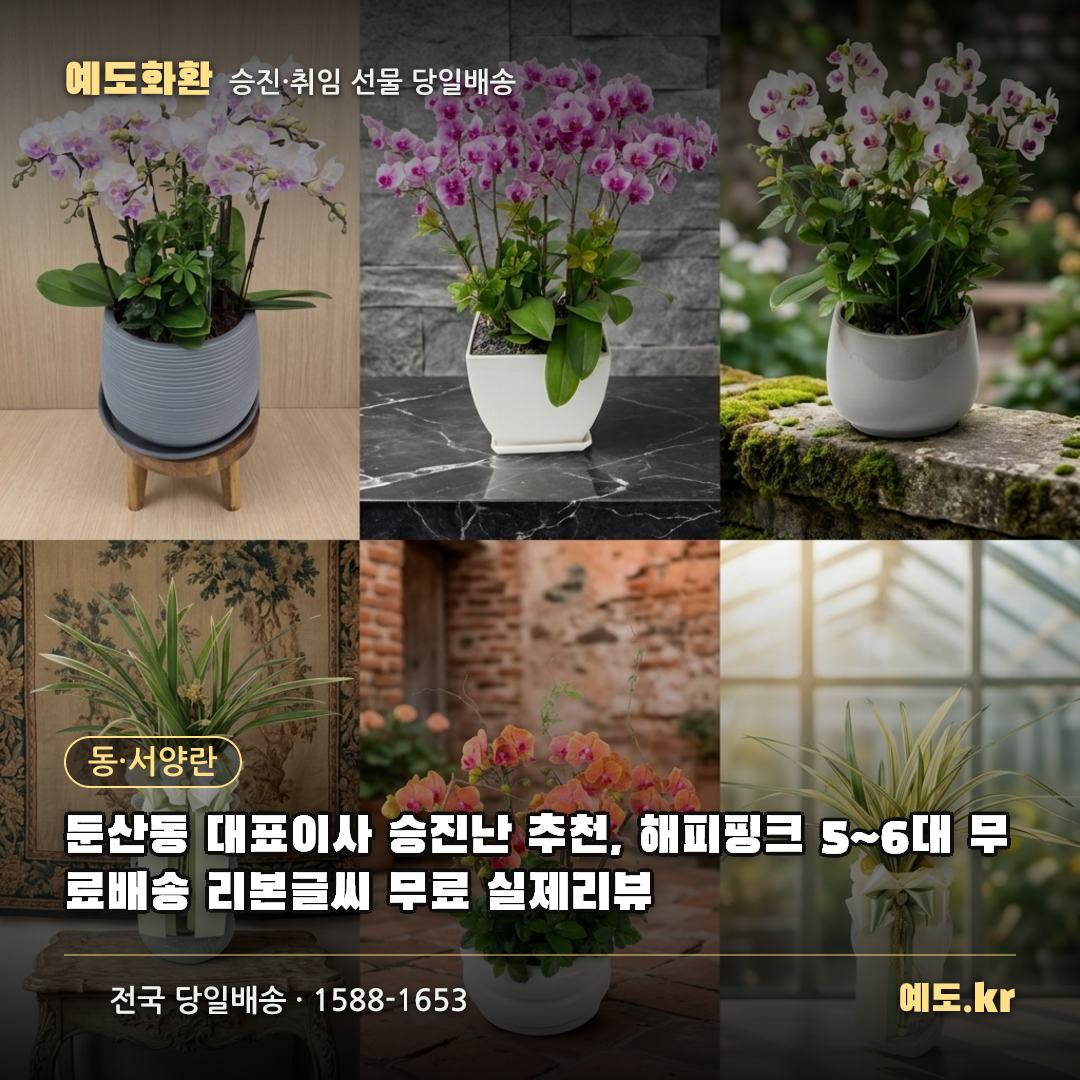 둔산동 대표이사 승진난 추천, 해피핑크 5~6대 무료배송 리본글씨 무료 실제리뷰 - 예도화환