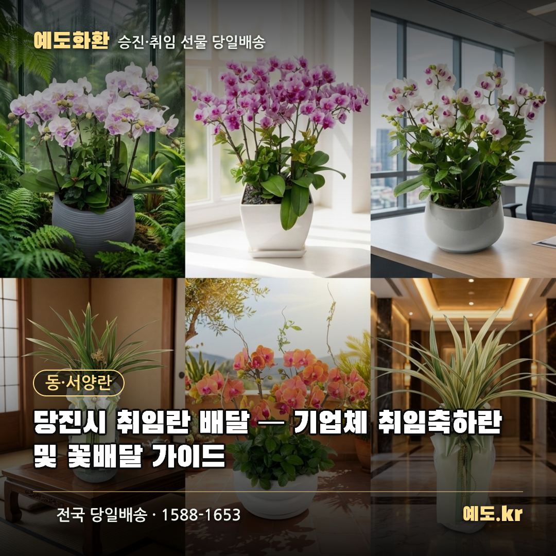 당진시 취임란 배달 — 기업체 취임축하란 및 꽃배달 가이드 - 예도화환