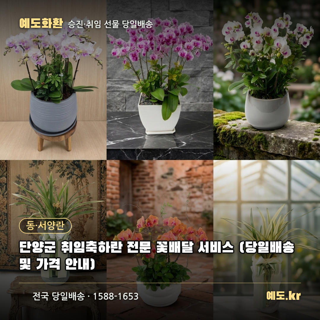 단양군 취임축하란 전문 꽃배달 서비스 (당일배송 및 가격 안내) - 예도화환