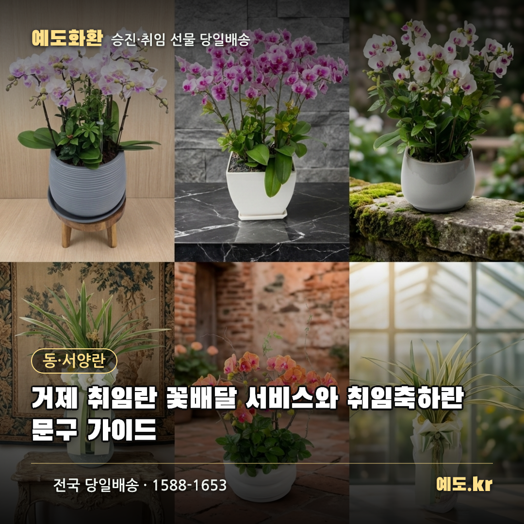 거제 취임란 꽃배달 서비스와 취임축하란 문구 가이드 - 예도화환
