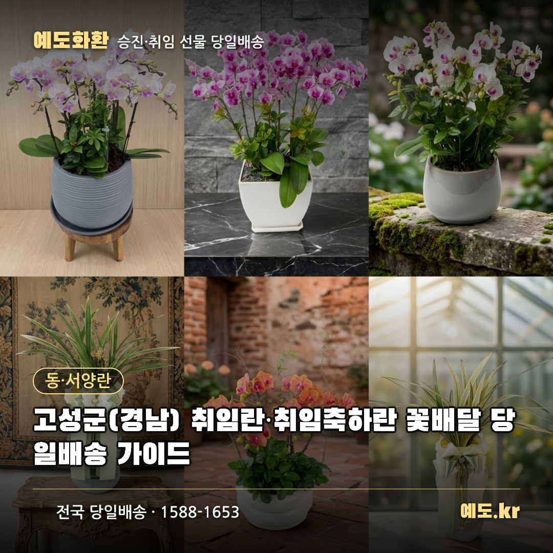 고성군(경남) 취임란·취임축하란 꽃배달 당일배송 가이드 - 예도화환