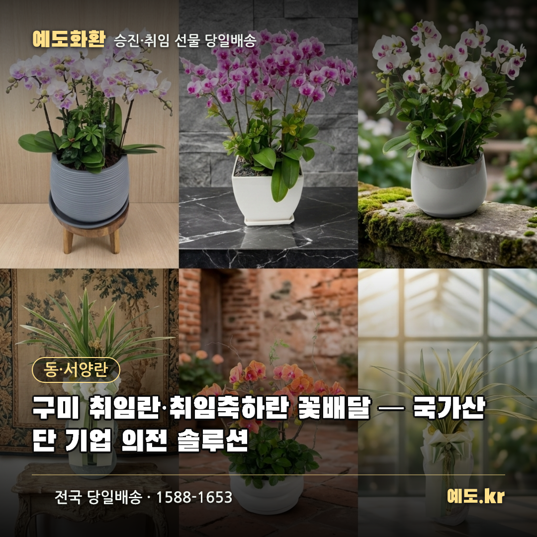 구미 취임란·취임축하란 꽃배달 — 국가산단 기업 의전 솔루션 - 예도화환