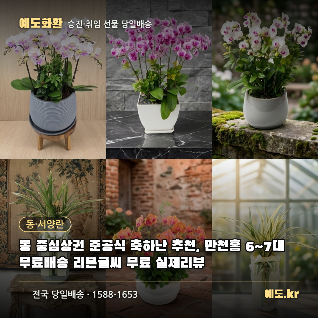 동 중심상권 준공식 축하난 추천, 만천홍 6~7대 무료배송 리본글씨 무료 실제리뷰 - 예도화환