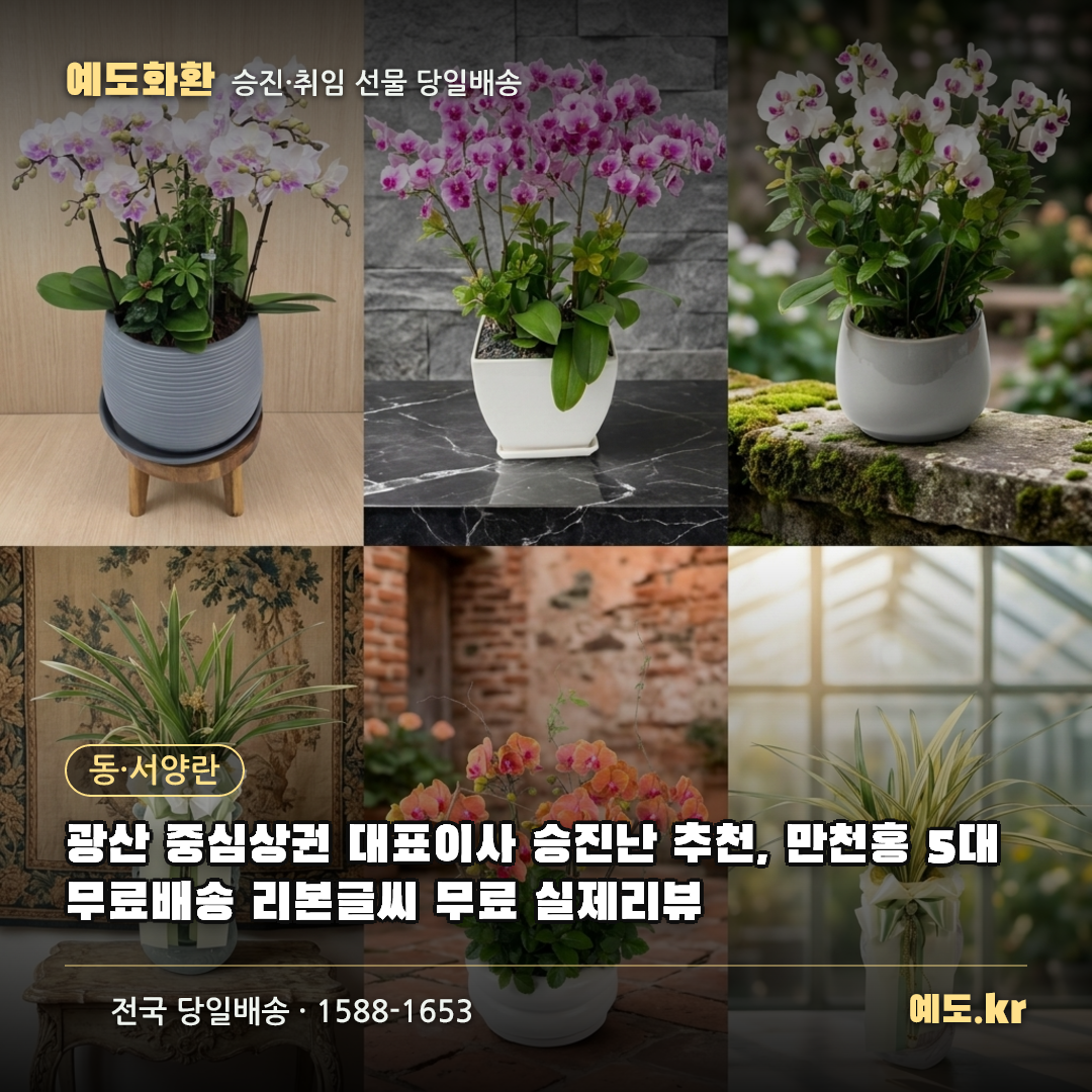 광산 중심상권 대표이사 승진난 추천, 만천홍 5대 무료배송 리본글씨 무료 실제리뷰 - 예도화환