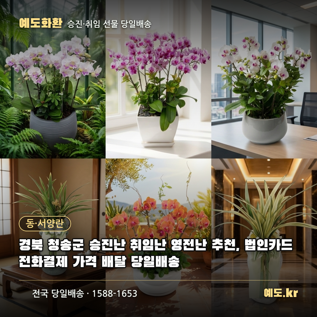경북 청송군 승진난 취임난 영전난 추천, 법인카드 전화결제 가격 배달 당일배송 - 예도화환