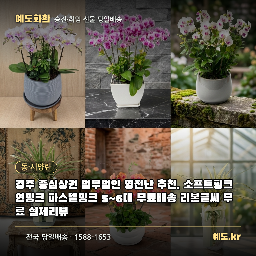 경주 중심상권 법무법인 영전난 추천, 소프트핑크 연핑크 파스텔핑크 5~6대 무료배송 리본글씨 무료 실제리뷰 - 예도화환