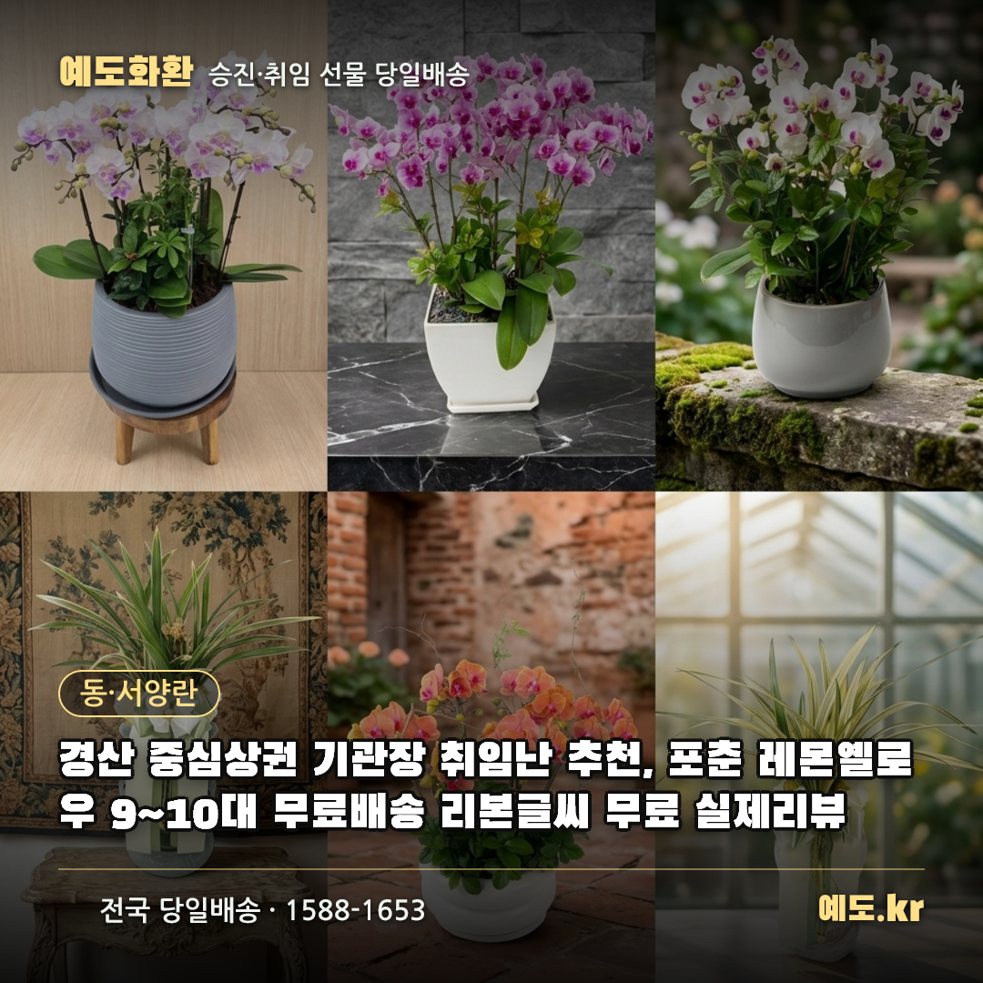 경산 중심상권 기관장 취임난 추천, 포춘 레몬옐로우 9~10대 무료배송 리본글씨 무료 실제리뷰 - 예도화환