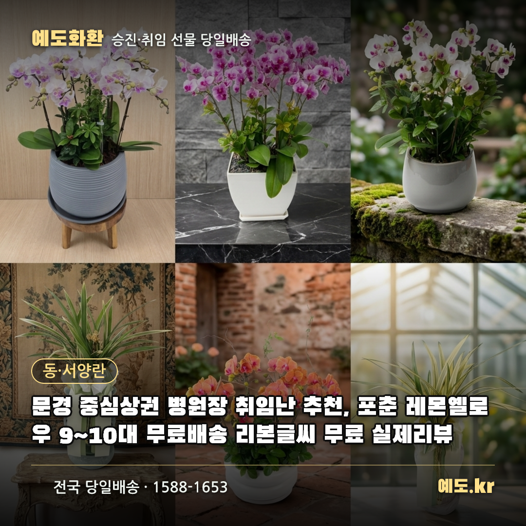 문경 중심상권 병원장 취임난 추천, 포춘 레몬옐로우 9~10대 무료배송 리본글씨 무료 실제리뷰 - 예도화환