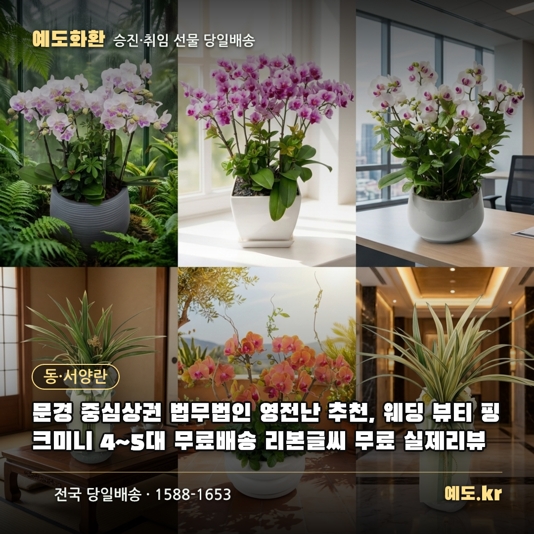 문경 중심상권 법무법인 영전난 추천, 웨딩 뷰티 핑크미니 4~5대 무료배송 리본글씨 무료 실제리뷰 - 예도화환