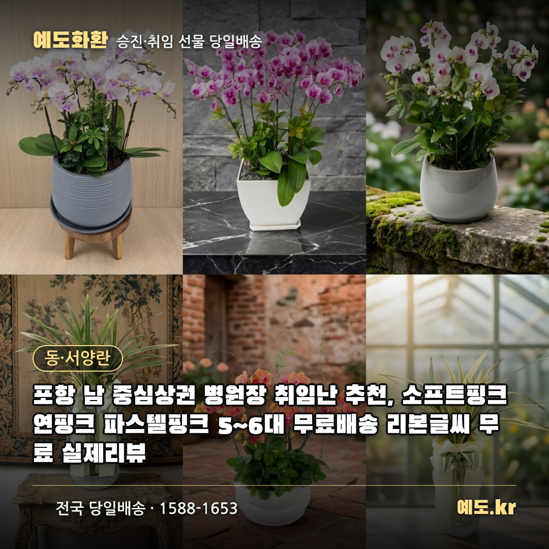 포항 남 중심상권 병원장 취임난 추천, 소프트핑크 연핑크 파스텔핑크 5~6대 무료배송 리본글씨 무료 실제리뷰 - 예도화환