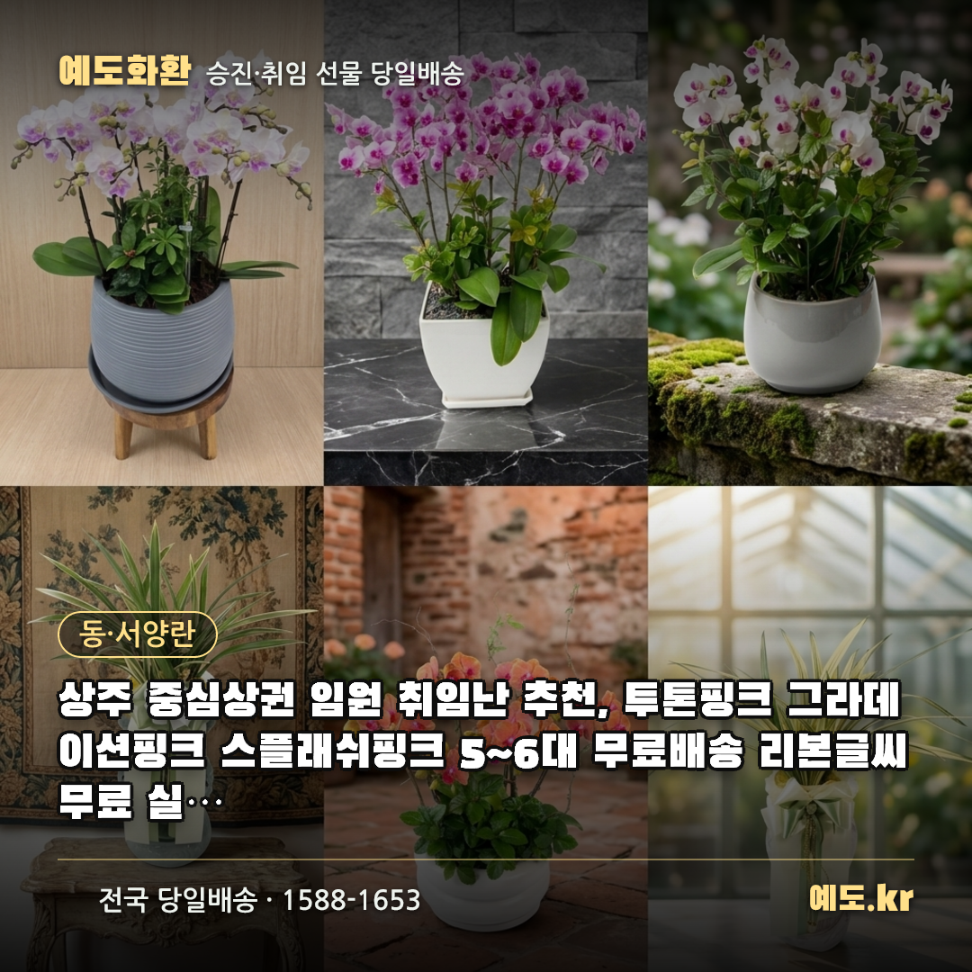 상주 중심상권 임원 취임난 추천, 투톤핑크 그라데이션핑크 스플래쉬핑크 5~6대 무료배송 리본글씨 무료 실제리뷰 - 예도화환