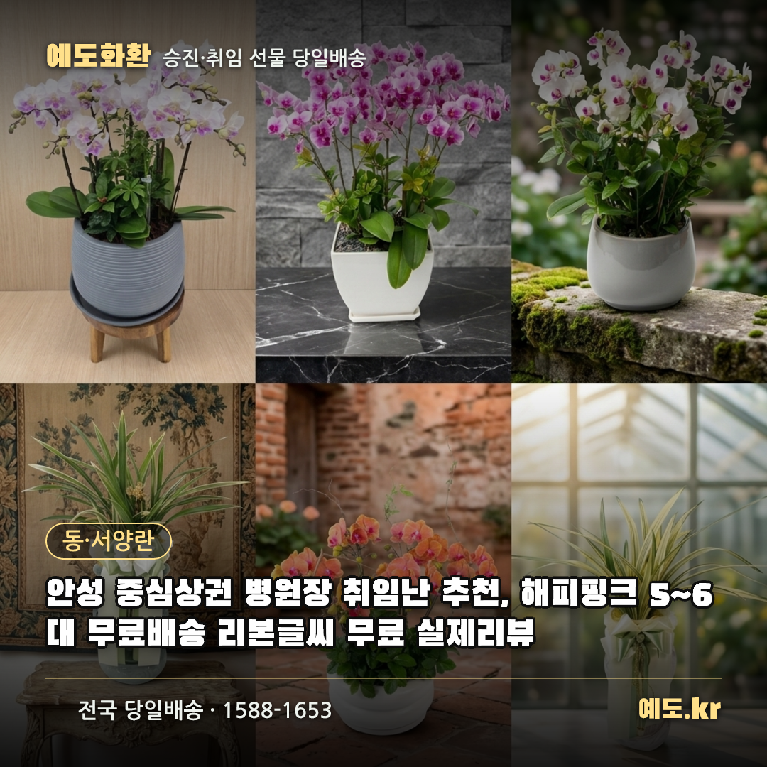 안성 중심상권 병원장 취임난 추천, 해피핑크 5~6대 무료배송 리본글씨 무료 실제리뷰 - 예도화환